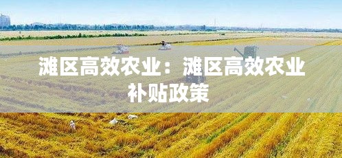 滩区高效农业：滩区高效农业补贴政策 