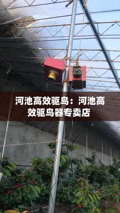 河池高效驱鸟：河池高效驱鸟器专卖店 