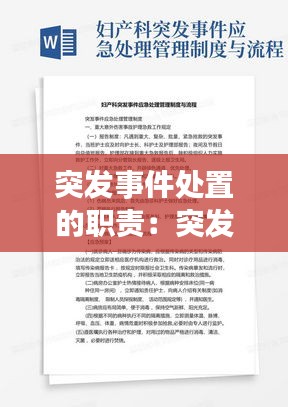 突发事件处置的职责：突发事件处置程序包括什么 