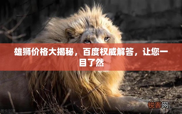雄狮价格大揭秘，百度权威解答，让您一目了然