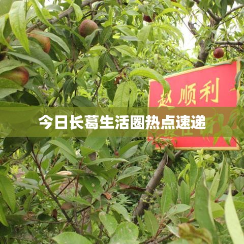 今日长葛生活圈热点速递