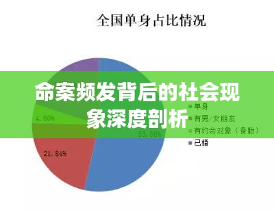 命案频发背后的社会现象深度剖析