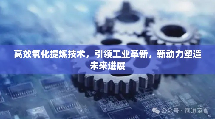 高效氧化提炼技术，引领工业革新，新动力塑造未来进展