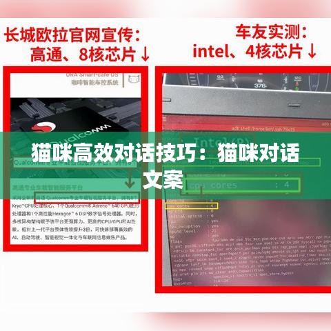 猫咪高效对话技巧：猫咪对话文案 