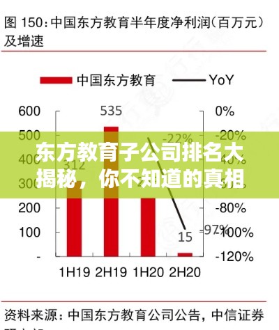 东方教育子公司排名大揭秘，你不知道的真相！