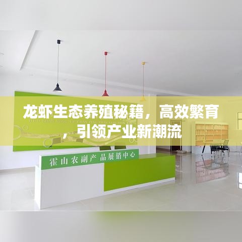 龙虾生态养殖秘籍，高效繁育，引领产业新潮流