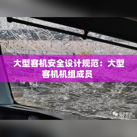 大型客机安全设计规范：大型客机机组成员 