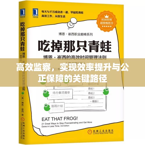 高效监察，实现效率提升与公正保障的关键路径