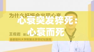 逸兴遄飞 第2页