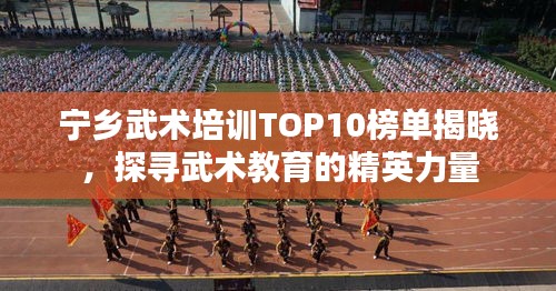 宁乡武术培训TOP10榜单揭晓，探寻武术教育的精英力量