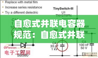 自愈式并联电容器规范：自愈式并联电容器接线图 