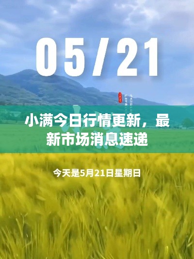 小满今日行情更新，最新市场消息速递