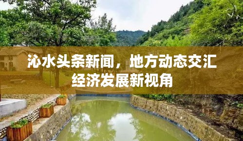 沁水头条新闻，地方动态交汇经济发展新视角