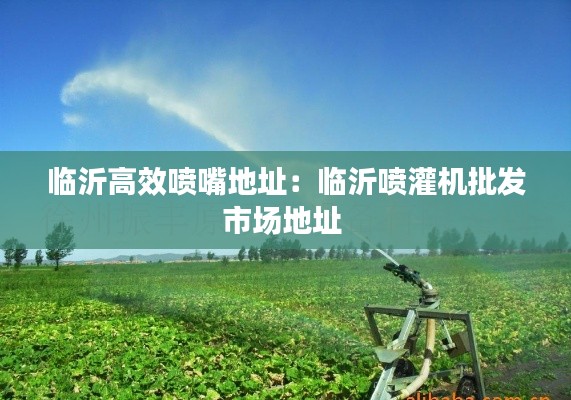 临沂高效喷嘴地址：临沂喷灌机批发市场地址 