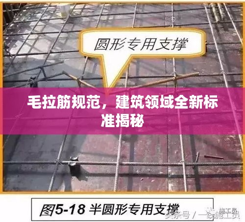 毛拉筋规范，建筑领域全新标准揭秘