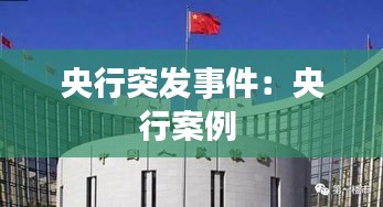 央行突发事件：央行案例 