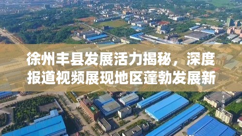 徐州丰县发展活力揭秘，深度报道视频展现地区蓬勃发展新面貌