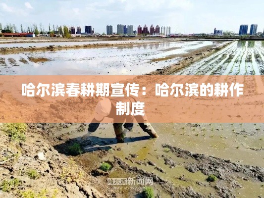 哈尔滨春耕期宣传：哈尔滨的耕作制度 