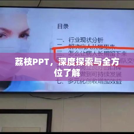 荔枝PPT，深度探索与全方位了解
