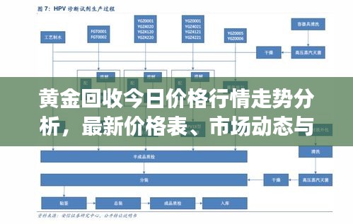 黄金回收今日价格行情走势分析，最新价格表、市场动态与未来趋势预测