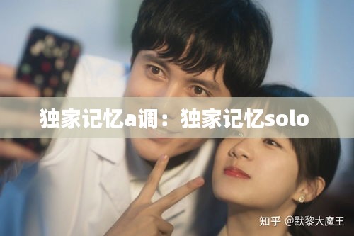 独家记忆a调：独家记忆solo 