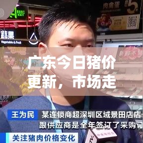 广东今日猪价更新，市场走势及影响因素深度解析