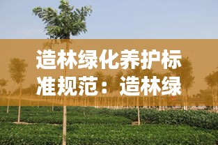 造林绿化养护标准规范：造林绿化实施方案 