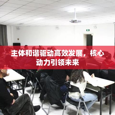 主体和谐驱动高效发展，核心动力引领未来