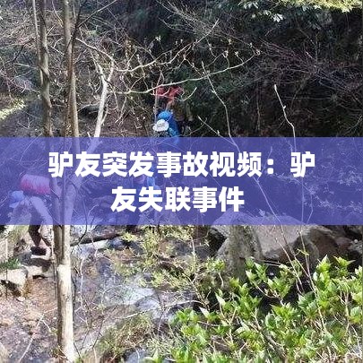 驴友突发事故视频：驴友失联事件 