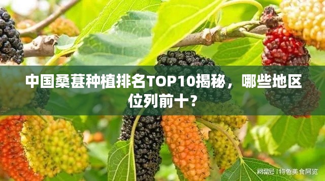 中国桑葚种植排名TOP10揭秘，哪些地区位列前十？