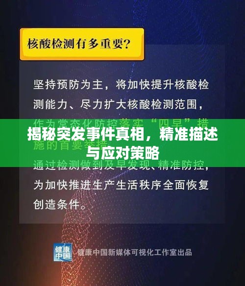 揭秘突发事件真相，精准描述与应对策略
