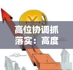高位协调抓落实：高度重视 高位谋划 