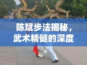 陈斌步法揭秘，武术精髓的深度探索