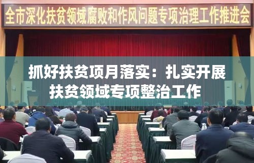 抓好扶贫项月落实：扎实开展扶贫领域专项整治工作 