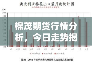 棉茂期货行情分析，今日走势揭秘