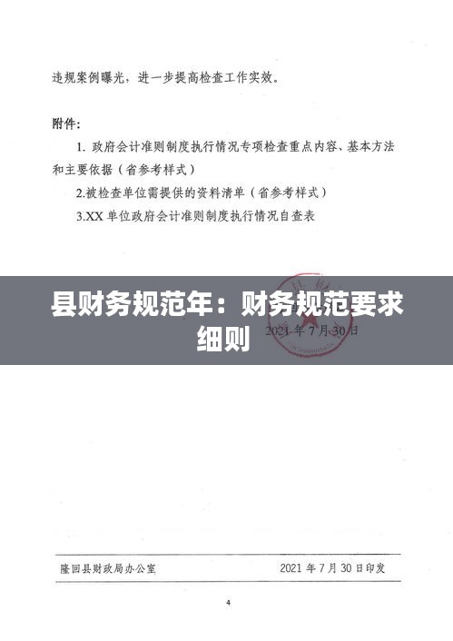 县财务规范年：财务规范要求细则 