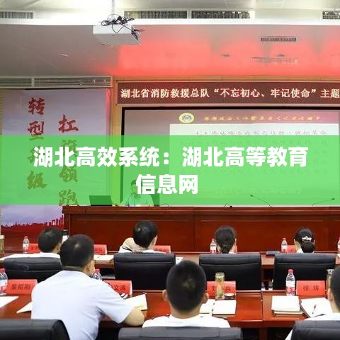 湖北高效系统：湖北高等教育信息网 