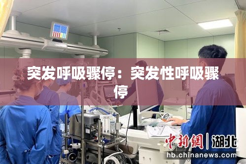 突发呼吸骤停：突发性呼吸骤停 
