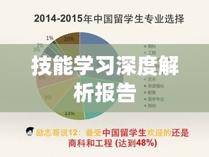 技能学习深度解析报告