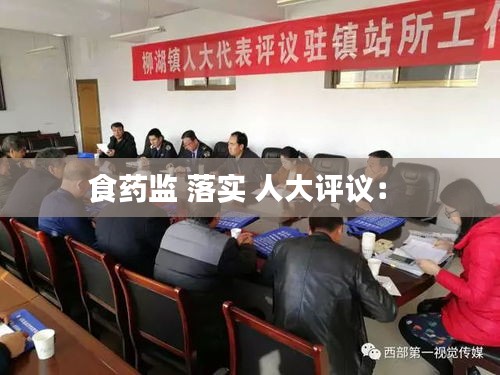 食药监 落实 人大评议： 