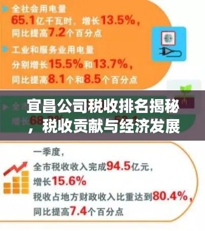 宜昌公司税收排名揭秘，税收贡献与经济发展的重要纽带