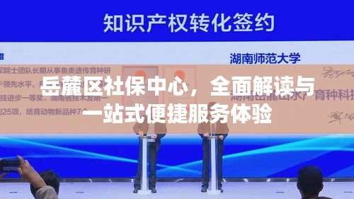 岳麓区社保中心，全面解读与一站式便捷服务体验