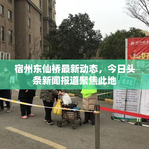 宿州东仙桥最新动态，今日头条新闻报道聚焦此地