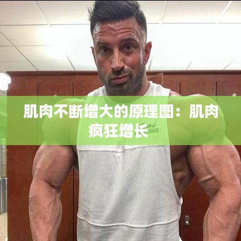肌肉不断增大的原理图：肌肉疯狂增长 