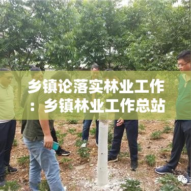 乡镇论落实林业工作：乡镇林业工作总站 