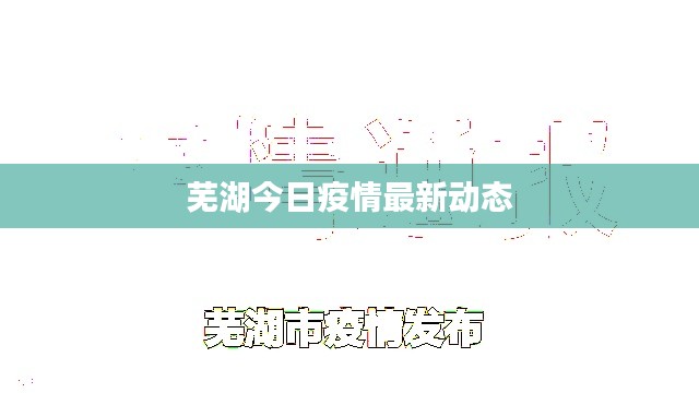 芜湖今日疫情最新动态
