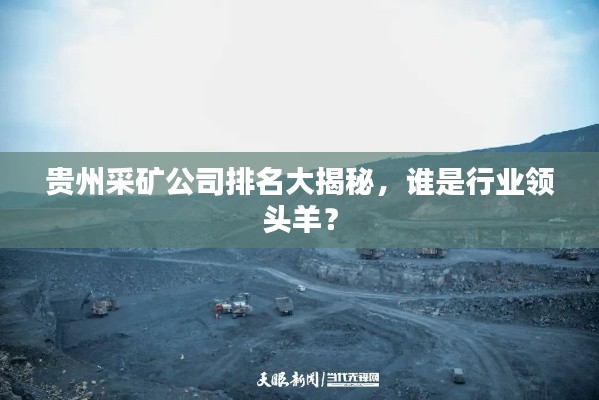 贵州采矿公司排名大揭秘，谁是行业领头羊？