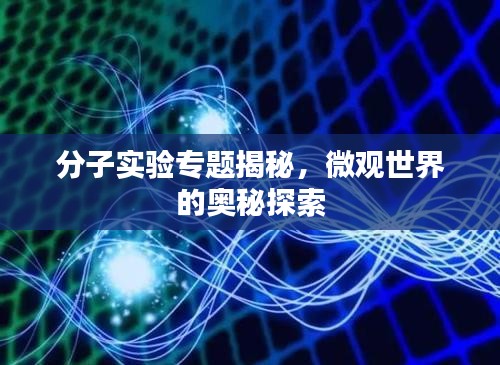 分子实验专题揭秘，微观世界的奥秘探索