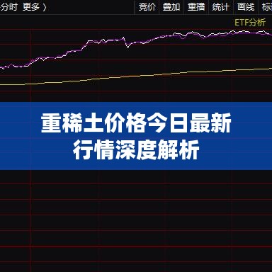 重稀土价格今日最新行情深度解析