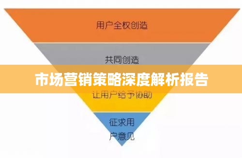 市场营销策略深度解析报告